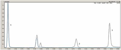 Case Report: Next Generation Sequencing in Clinical Practice–A Real Tool for Ending the Protracted Diagnostic Odyssey